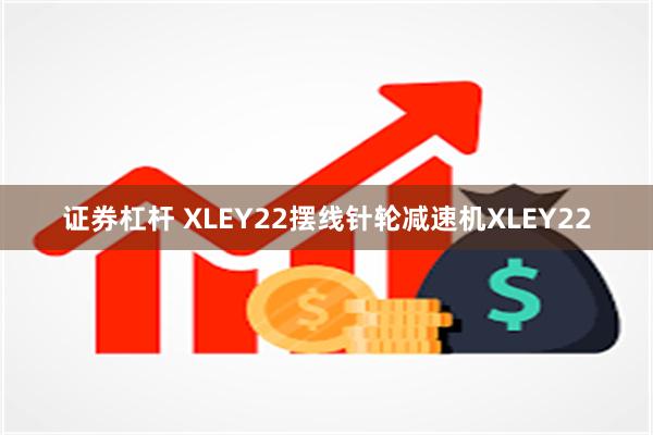 证券杠杆 XLEY22摆线针轮减速机XLEY22