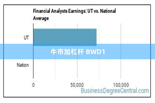 牛市加杠杆 BWD1