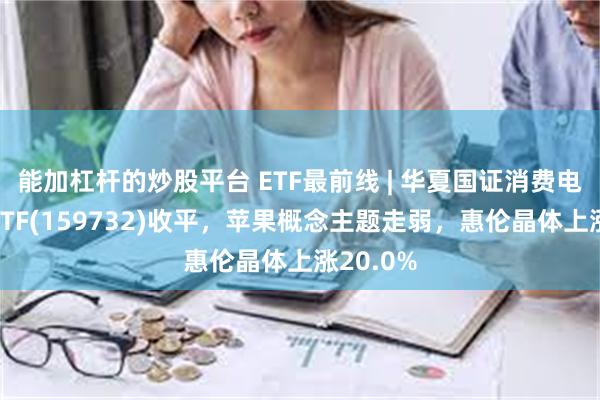 能加杠杆的炒股平台 ETF最前线 | 华夏国证消费电子主题ETF(159732)收平，苹果概念主题走弱，惠伦晶体上涨20.0%