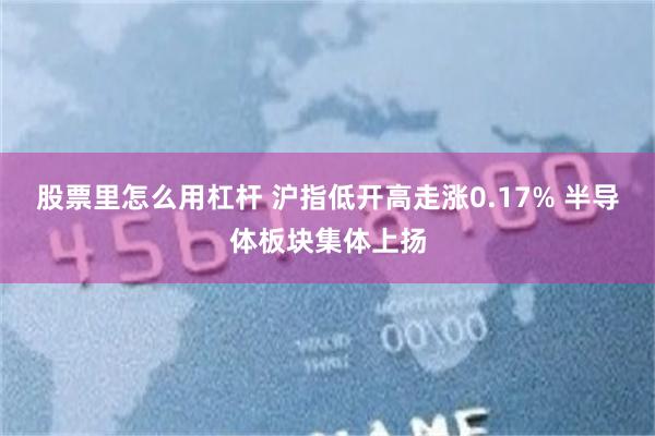 股票里怎么用杠杆 沪指低开高走涨0.17% 半导体板块集体上扬