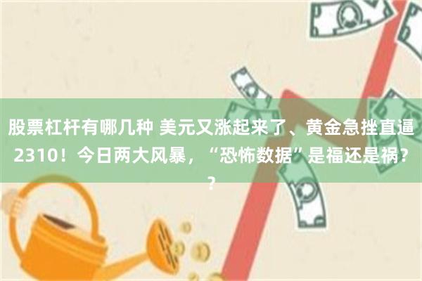 股票杠杆有哪几种 美元又涨起来了、黄金急挫直逼2310！今日两大风暴，“恐怖数据”是福还是祸？