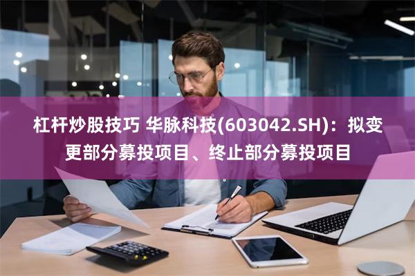 杠杆炒股技巧 华脉科技(603042.SH)：拟变更部分募投项目、终止部分募投项目