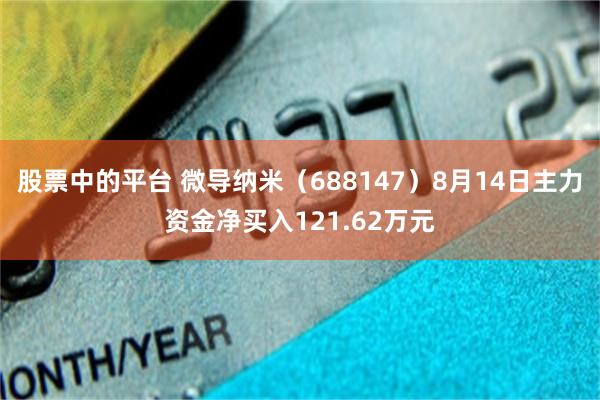 股票中的平台 微导纳米（688147）8月14日主力资金净买入121.62万元