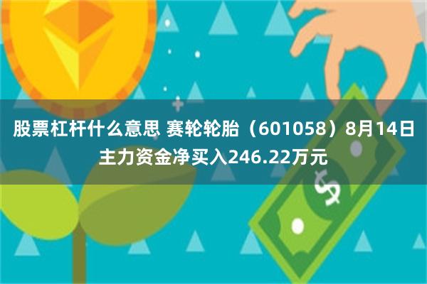 股票杠杆什么意思 赛轮轮胎（601058）8月14日主力资金净买入246.22万元