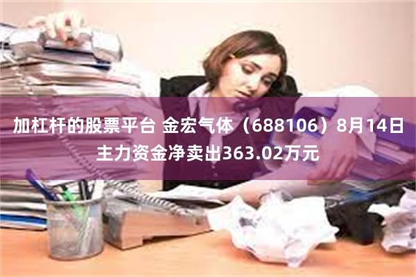 加杠杆的股票平台 金宏气体（688106）8月14日主力资金净卖出363.02万元