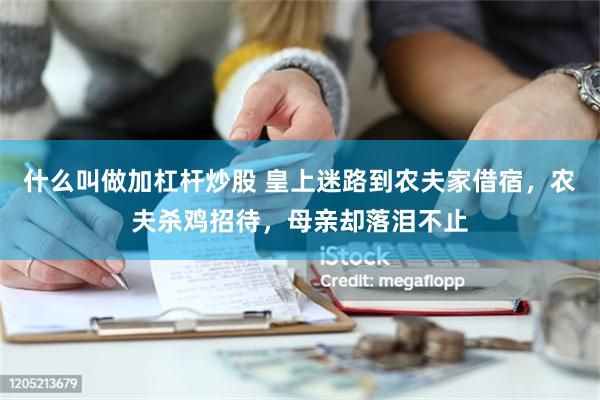 什么叫做加杠杆炒股 皇上迷路到农夫家借宿，农夫杀鸡招待，母亲