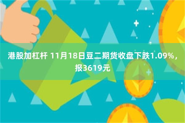 港股加杠杆 11月18日豆二期货收盘下跌1.09%，报361