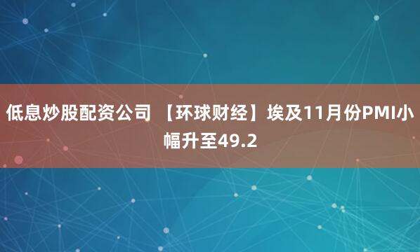 低息炒股配资公司 【环球财经】埃及11月份PMI小幅升至49.2