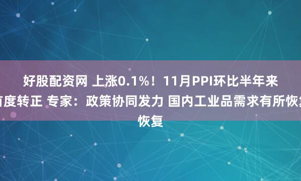 好股配资网 上涨0.1%！11月PPI环比半年来首度转正 专家：政策协同发力 国内工业品需求有所恢复