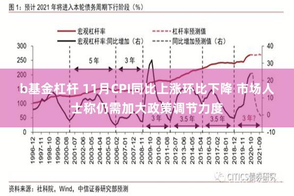 b基金杠杆 11月CPI同比上涨环比下降 市场人士称仍需加大政策调节力度