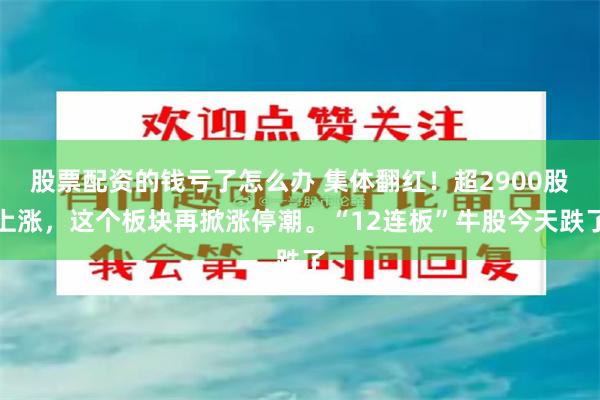 股票配资的钱亏了怎么办 集体翻红！超2900股上涨，这个板块再掀涨停潮。“12连板”牛股今天跌了