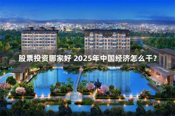 股票投资哪家好 2025年中国经济怎么干？