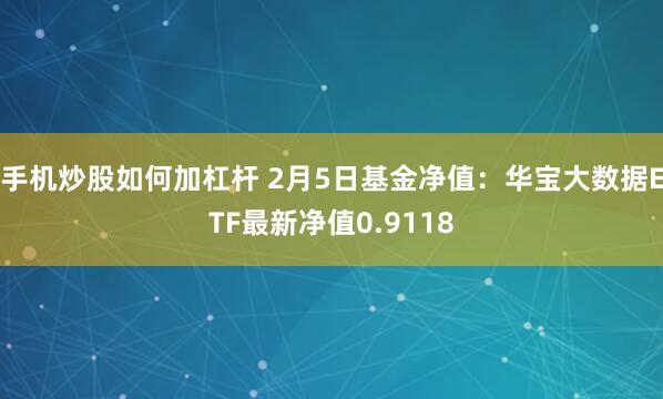 手机炒股如何加杠杆 2月5日基金净值：华宝大数据ETF最新净值0.9118