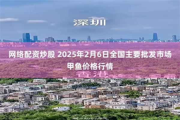 网络配资炒股 2025年2月6日全国主要批发市场甲鱼价格行情