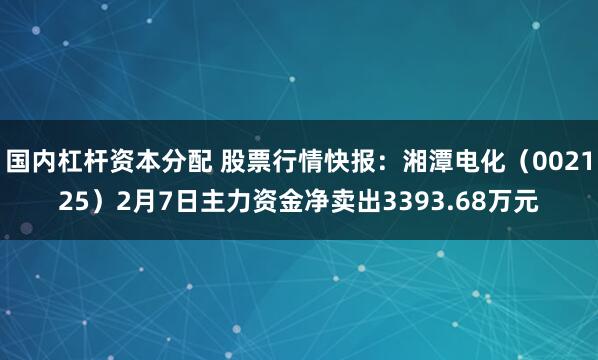 国内杠杆资本分配 股票行情快报：湘潭电化（002125）2月7日主力资金净卖出3393.68万元