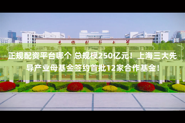 正规配资平台哪个 总规模250亿元！上海三大先导产业母基金签约首批12家合作基金！