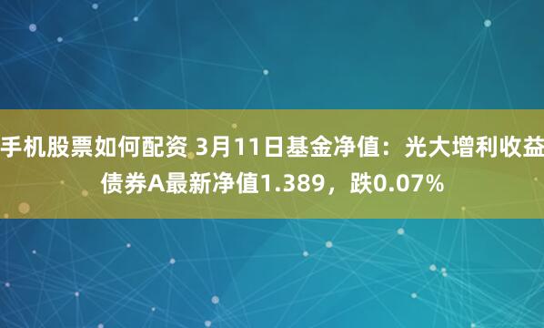 手机股票如何配资 3月11日基金净值：光大增利收益债券A最新净值1.389，跌0.07%